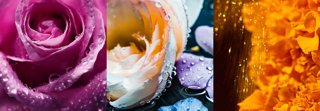 How to Make Your Own Fine Fragrance Using Perfumery Accords