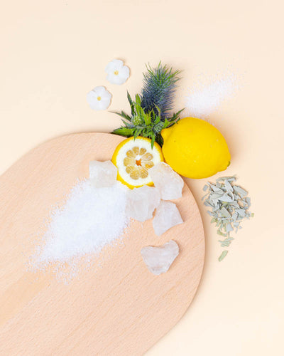 sea salt & beach sage™ fragrance oil - the stash