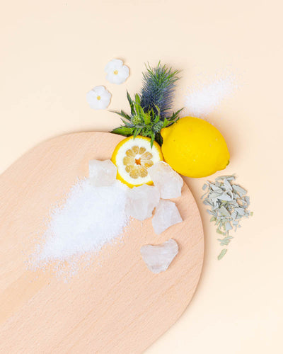 sea salt & beach sage™ fragrance oil - the stash