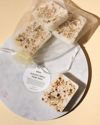 autumn berry diy soap kit