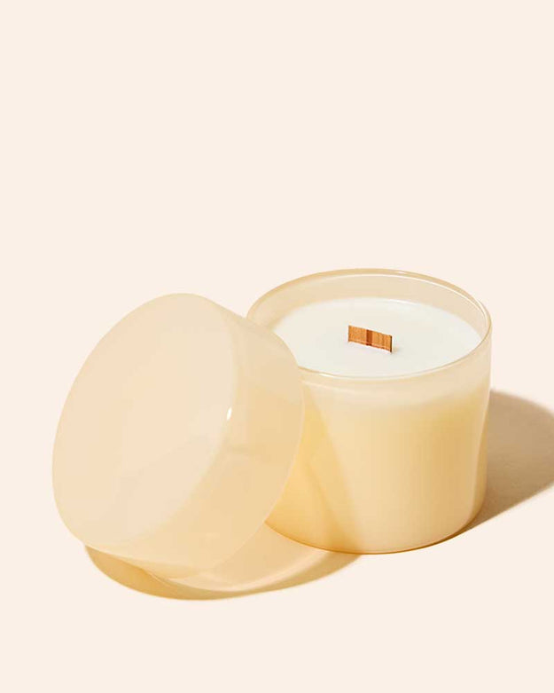 milky shell / case pack of 12