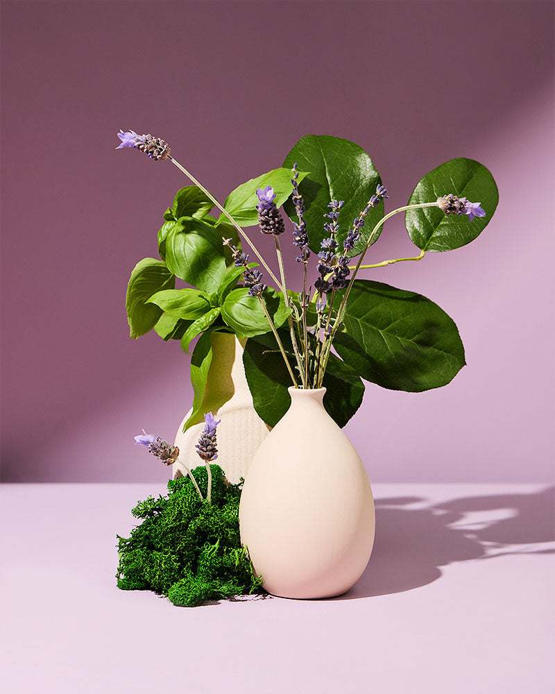 royal moss & lavish lavandin™ fragrance oil