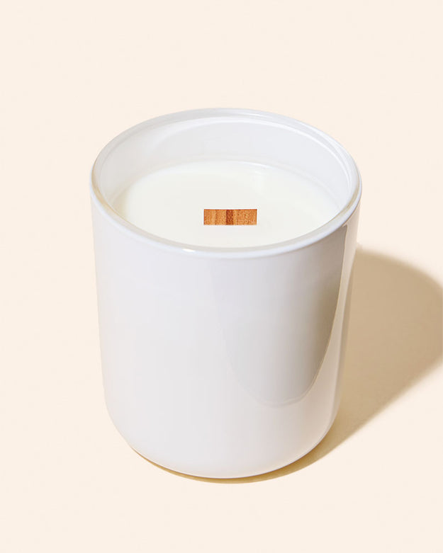 gloss white / case pack of 12