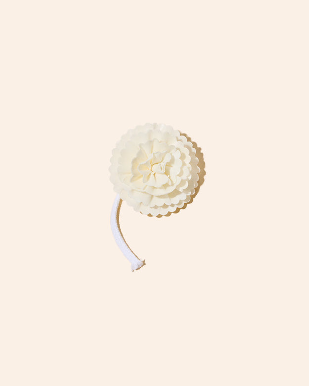carnation