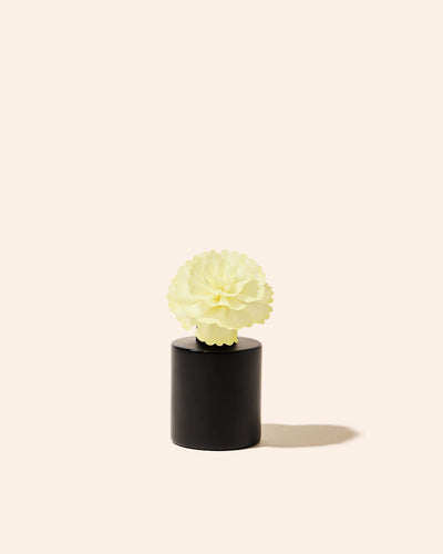 sola flower diffuser reeds