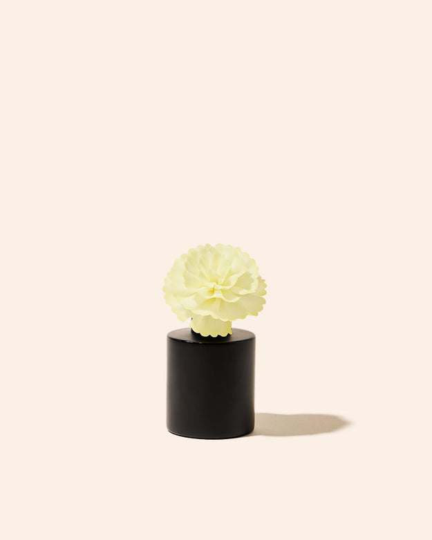 carnation