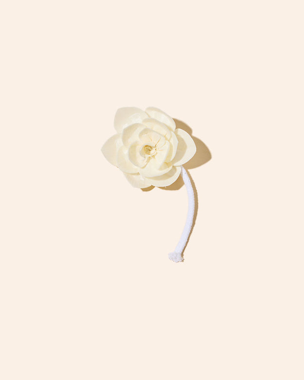 jasmine
