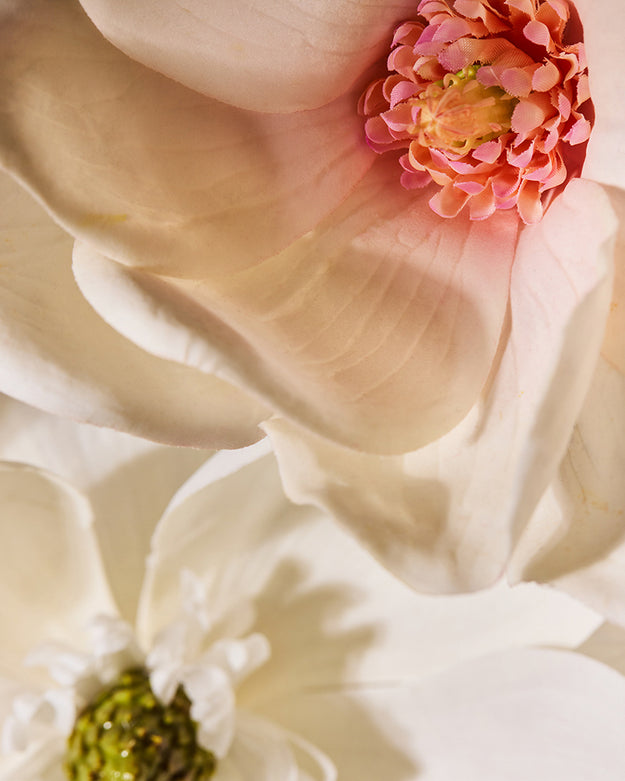 essence of magnolia fragrance oil