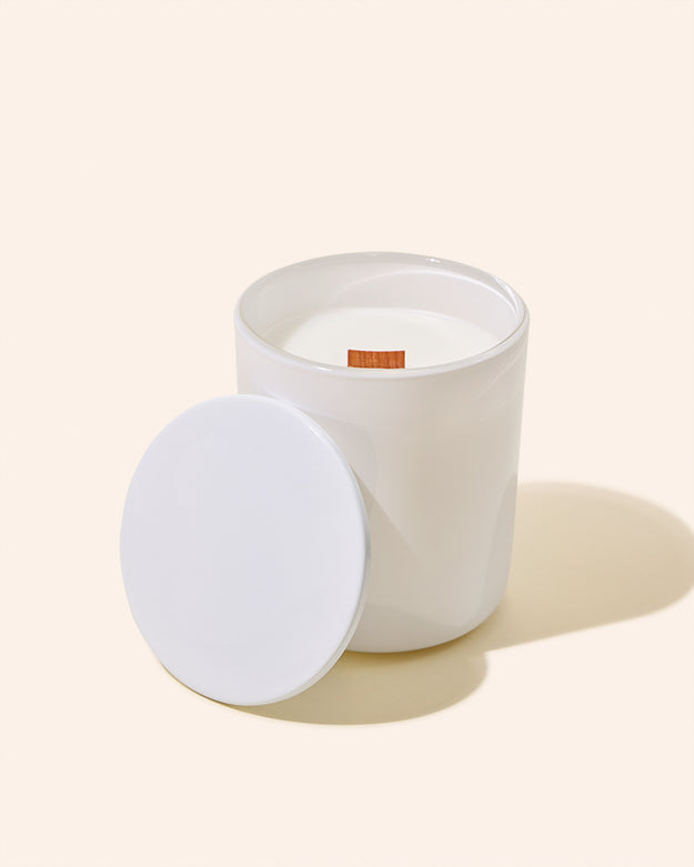 gloss white / case pack of 12