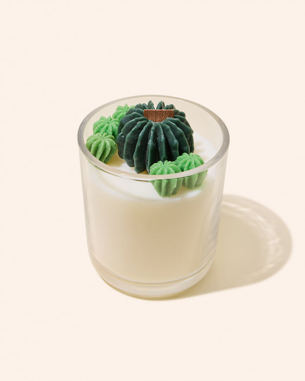 succulents