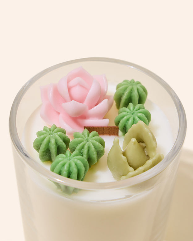 succulents