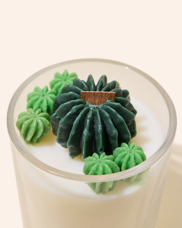succulents