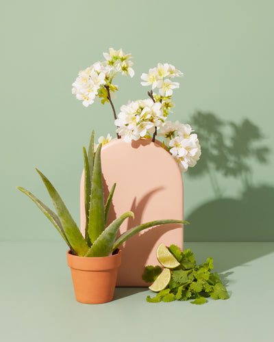 calamansi & tangerine blossom™ fragrance oil - the stash