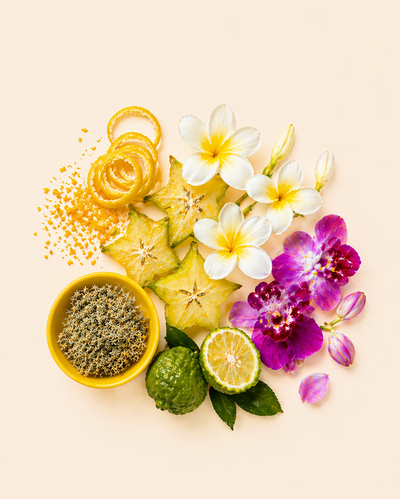 starlit summer™ fragrance oil