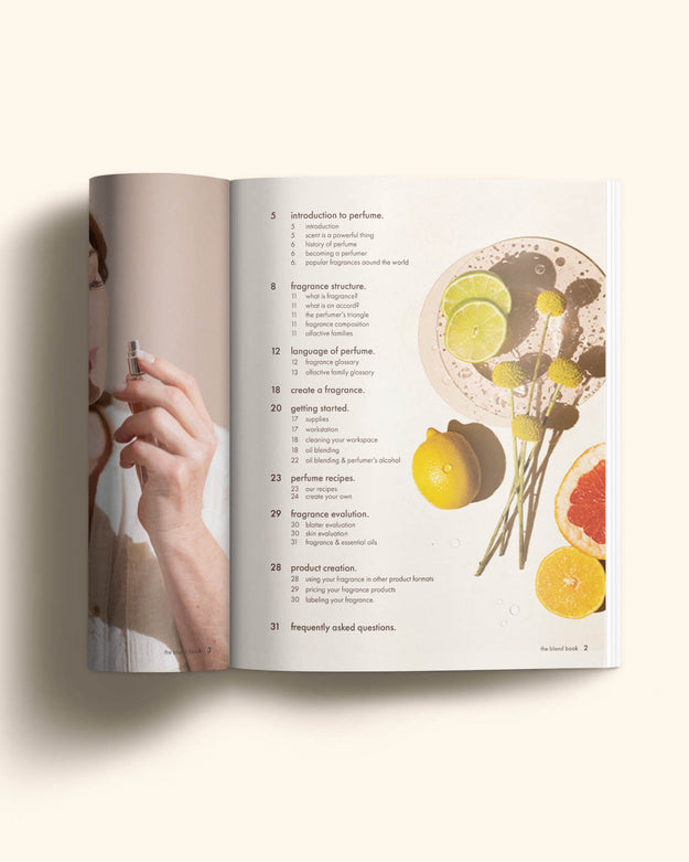 the blend book (digital) - Makesy