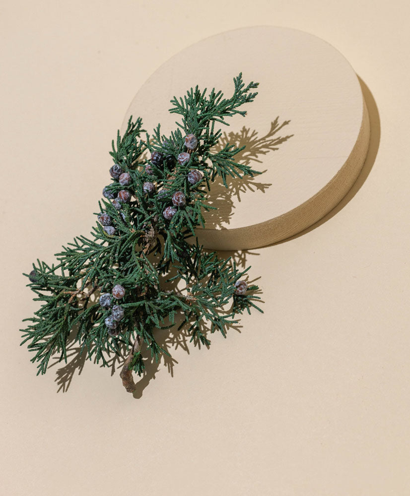 juniper sprigs - Makesy