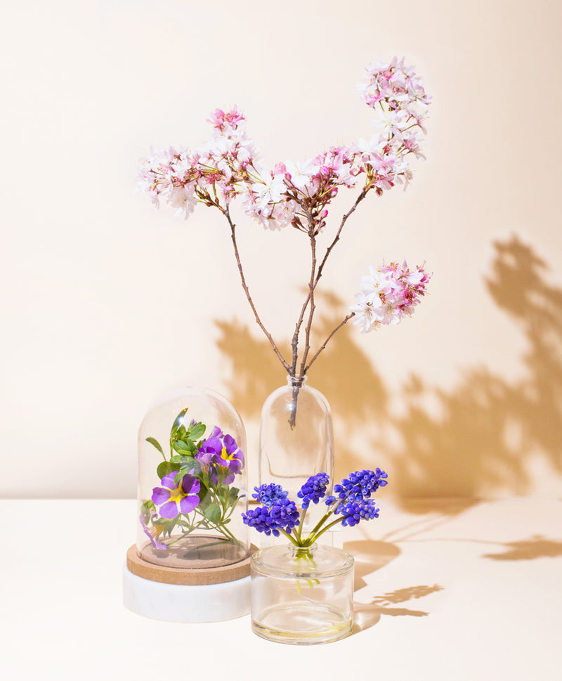 ambrosia apple & hyacinth
