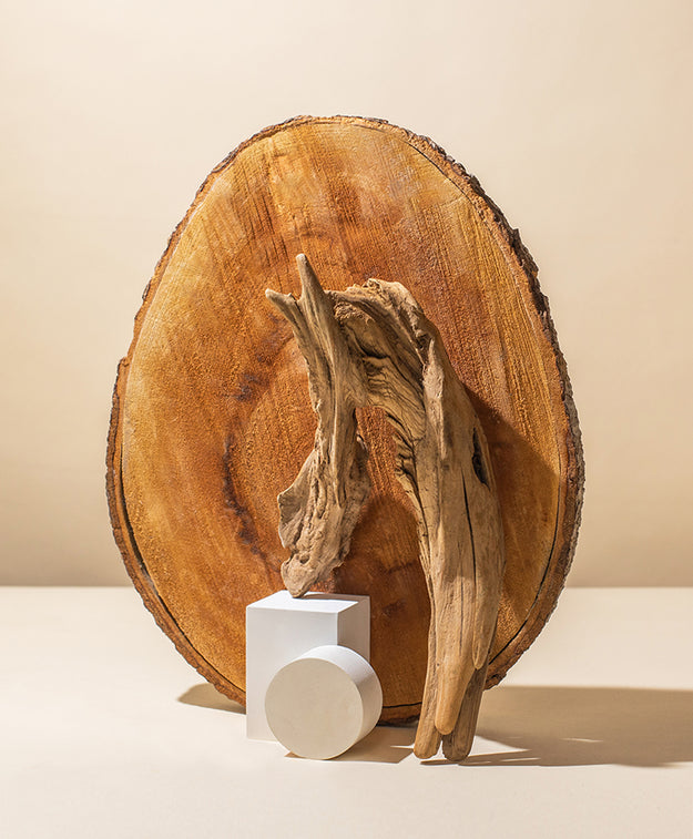 WOODY + EARTHY FRAGRANCE KIT