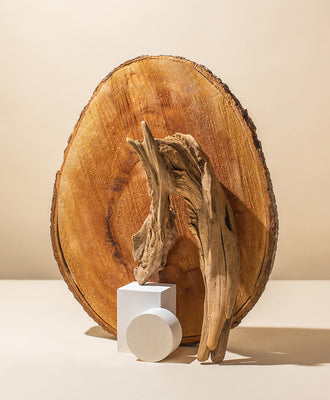 WOODY + EARTHY FRAGRANCE KIT
