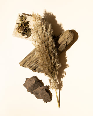 cacao woods accord - Makesy