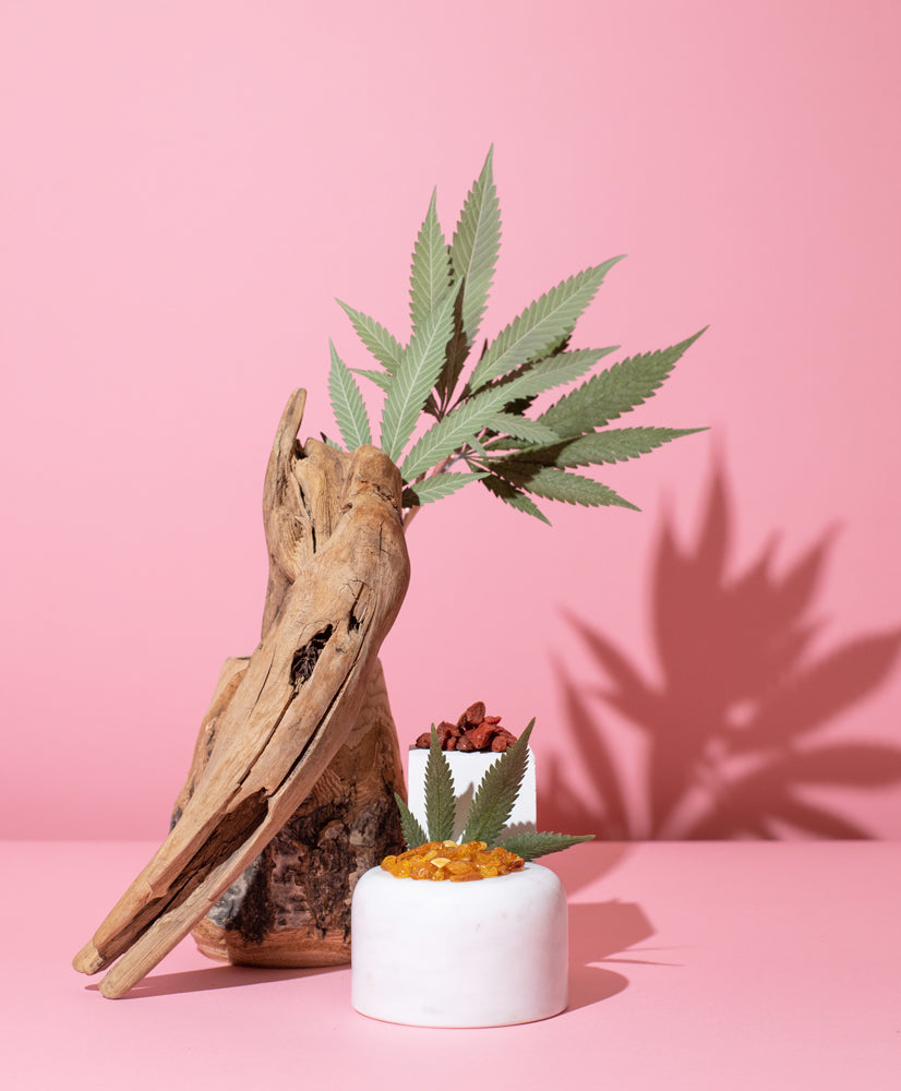 GOJI BERRY + HEMP