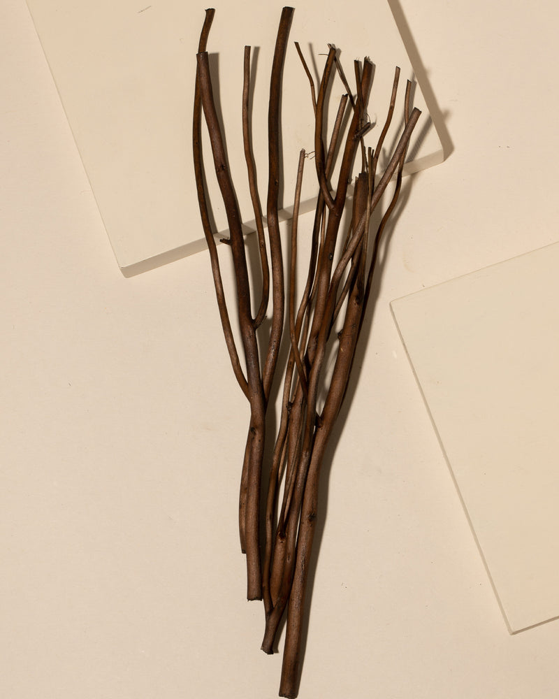 umber willow diffuser reeds - set of 50