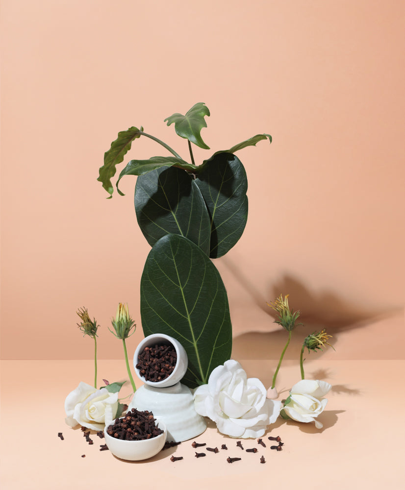 natural island gardenia & spiced ylang - Makesy