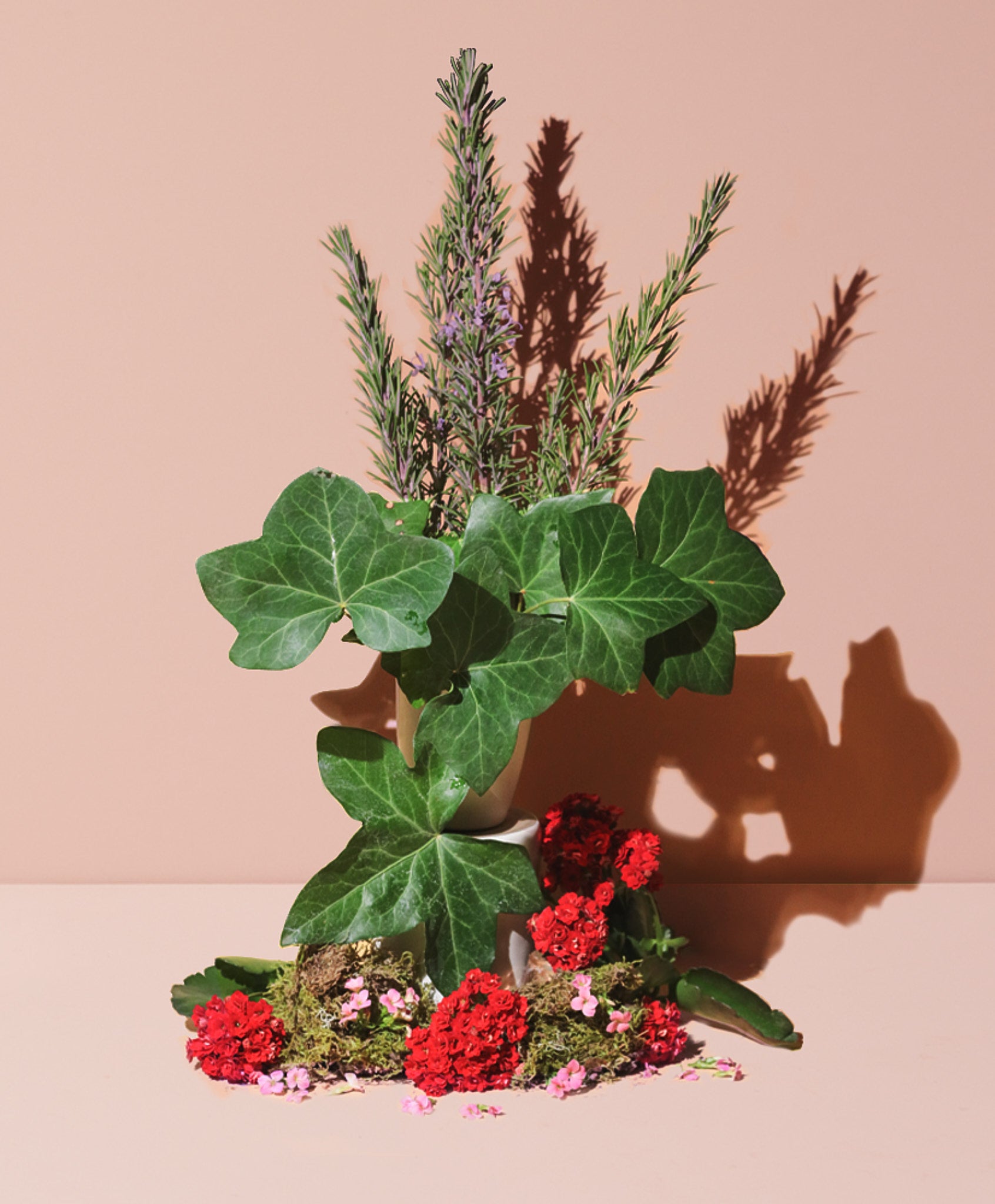 natural ivy geranium & pink rosemary - Makesy