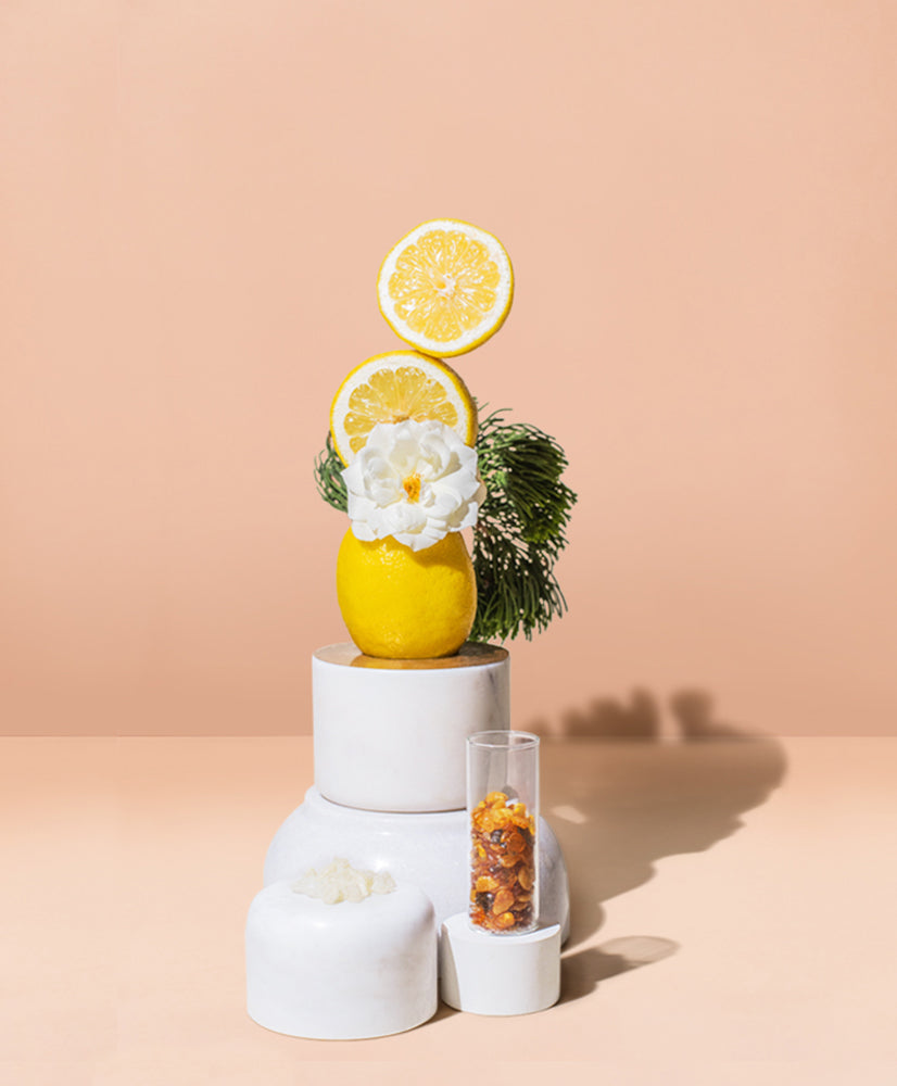 LABDANUM + CASHMERE MUSK