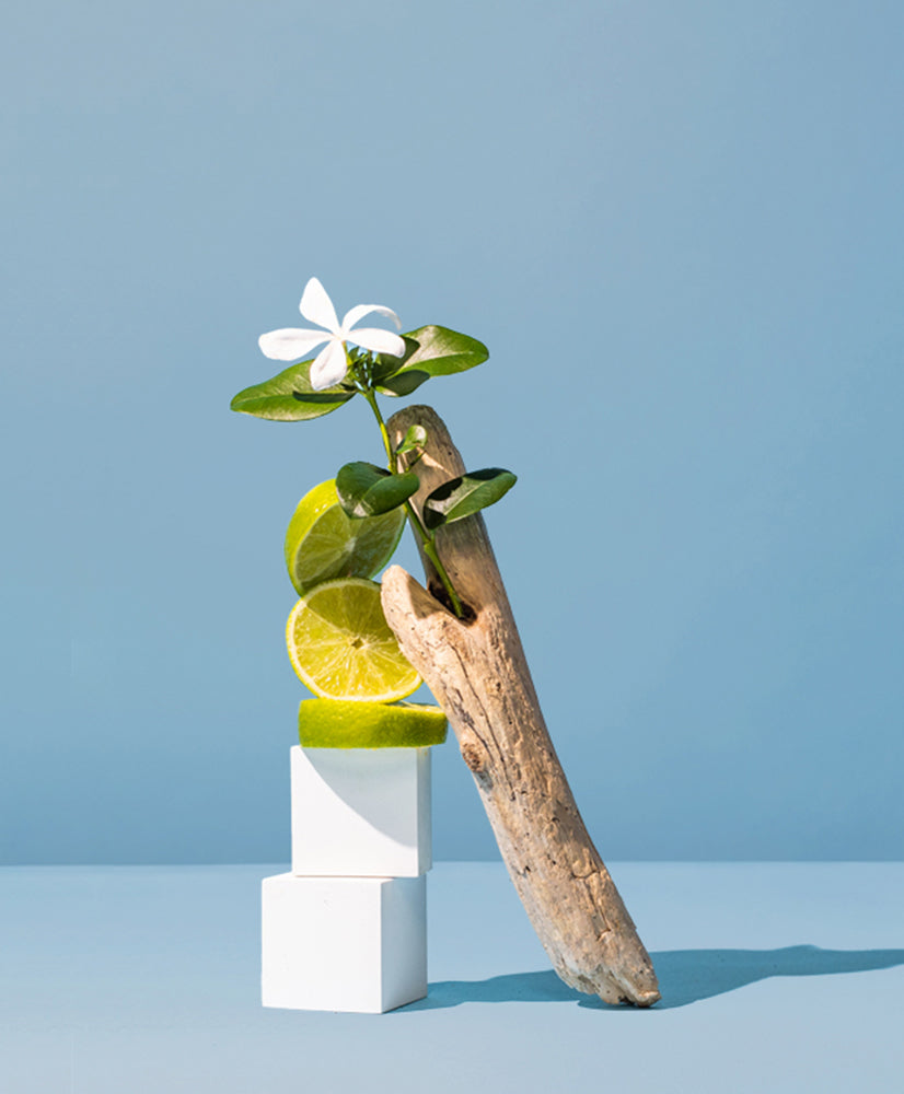 LEMON BLOSSOM + SEA MIST