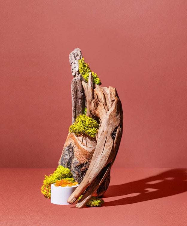 OAKMOSS + CEDAR