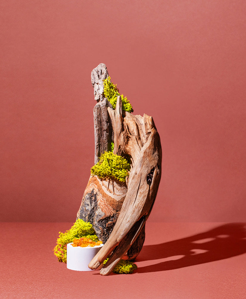 OAKMOSS + CEDAR
