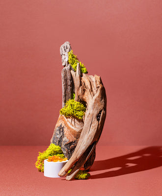 OAKMOSS + CEDAR