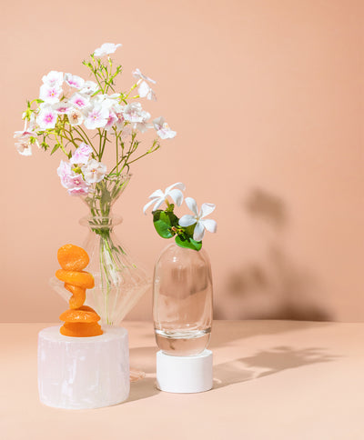 PRIMROSE + APRICOT