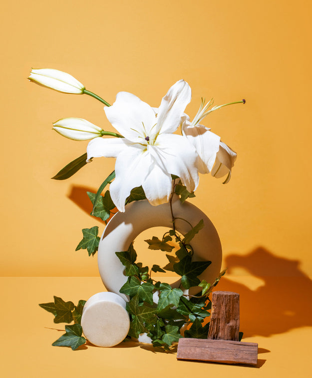 SUN-DRENCHED IVY + LILIES