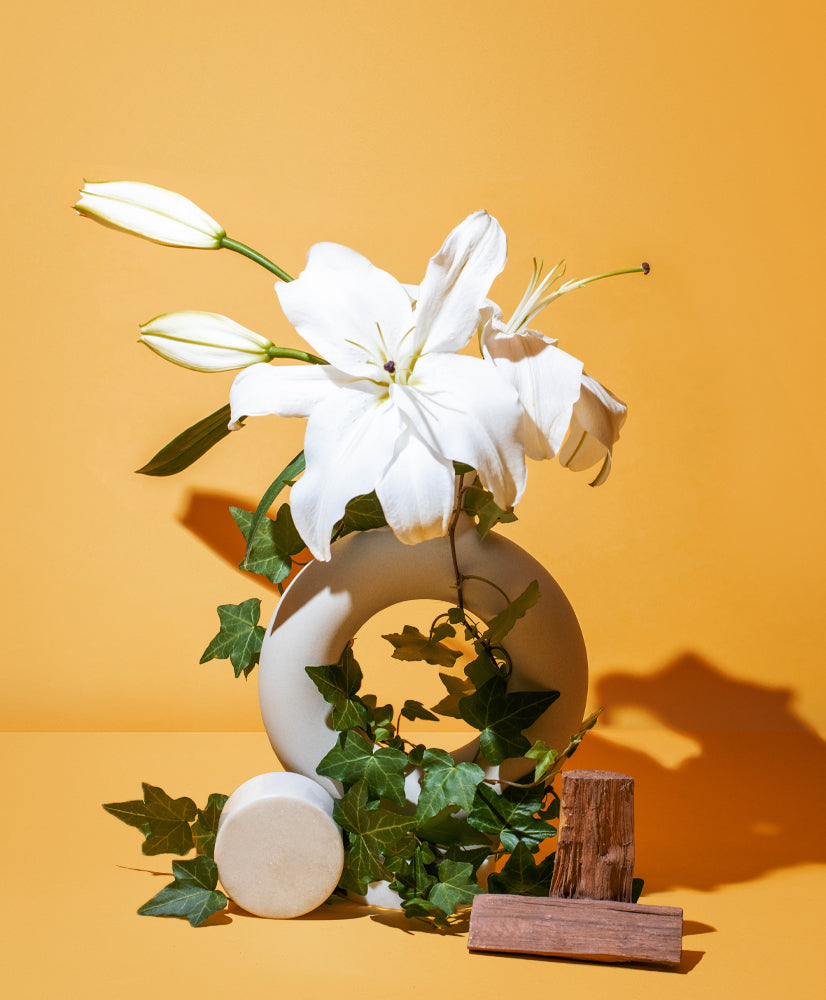 SUN-DRENCHED IVY + LILIES
