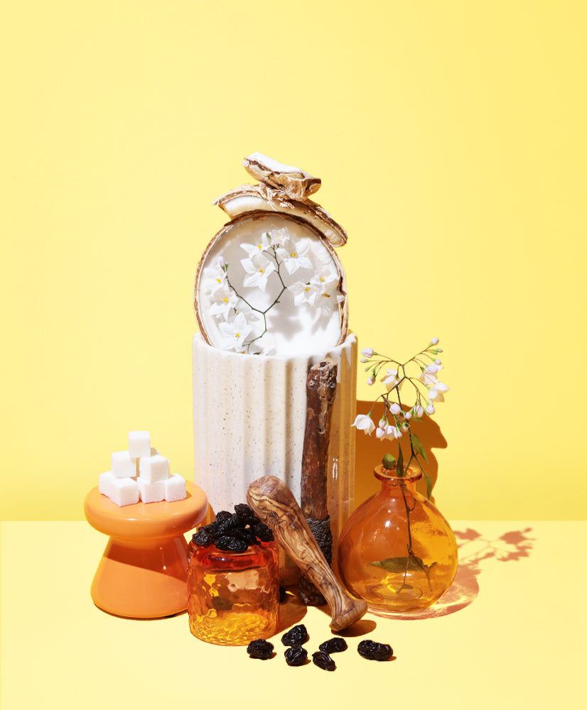 Midnight Amber Fragrance Oil — ScentSationals