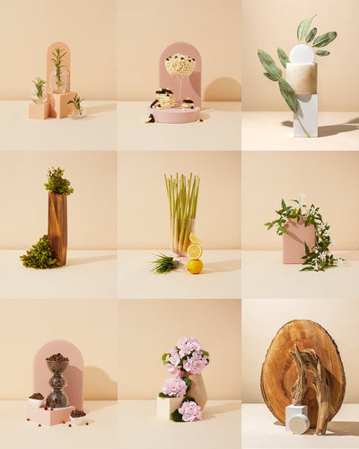 essential oil discovery kit - the stash