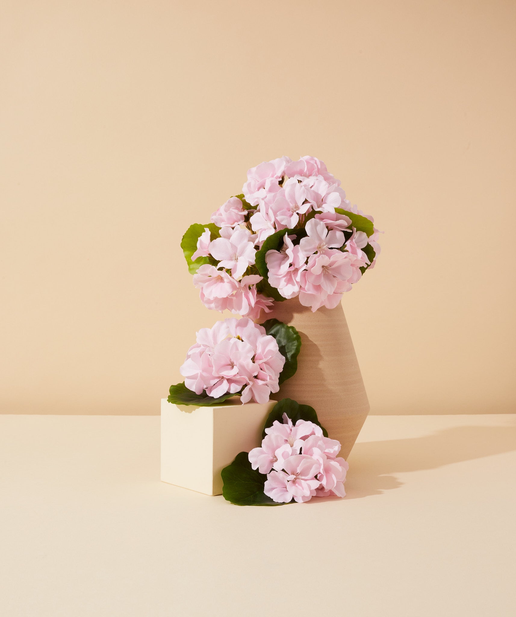 egyptian geranium essential oil - Makesy