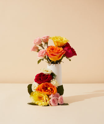 rose absolute - Makesy