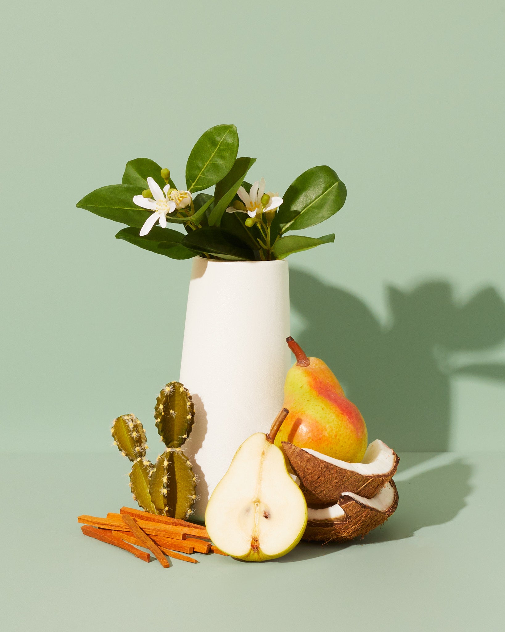 prickly pear & maypan coconut - Makesy