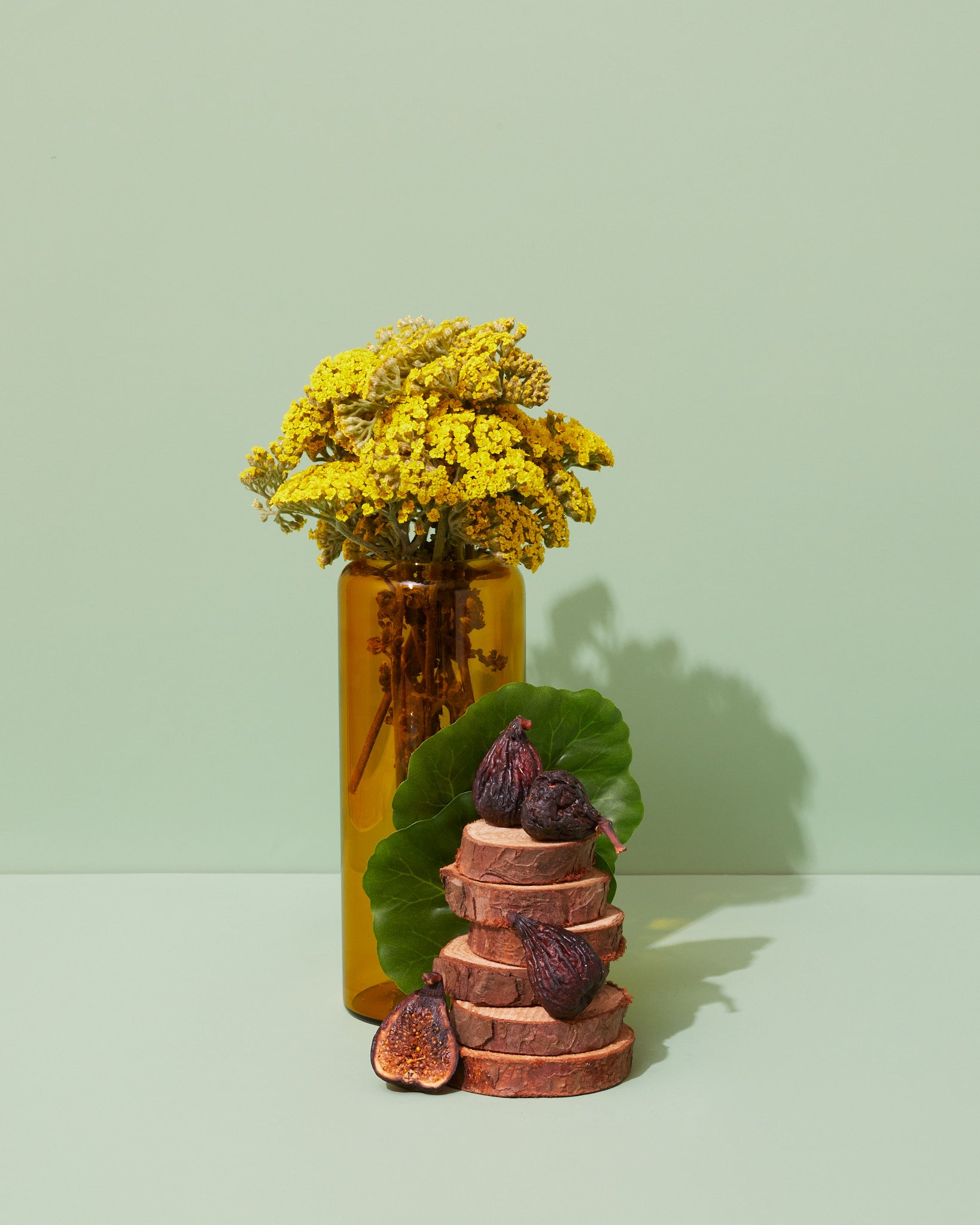 fig leaf & galbanum - Makesy