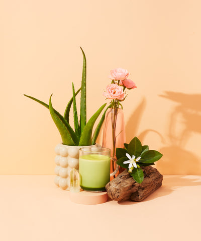 blanc citrine & matcha verde - Makesy