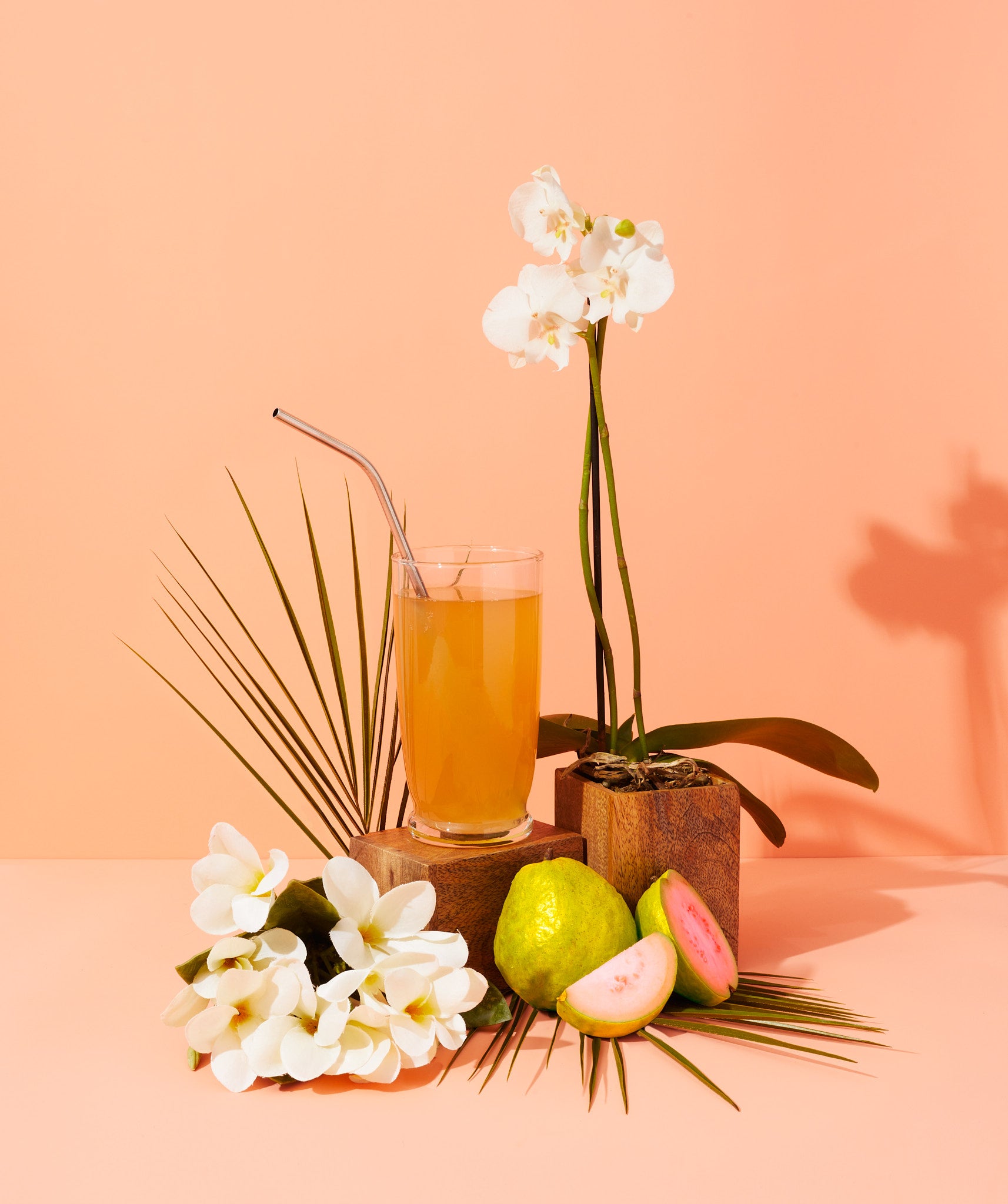 kombucha & pink guava - Makesy