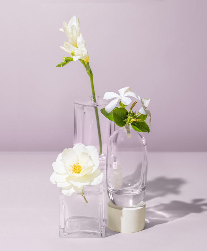 TUBEROSE + FRANGIPANI