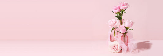 Rose Essential Oil Absolute Aromatherapy Recipes