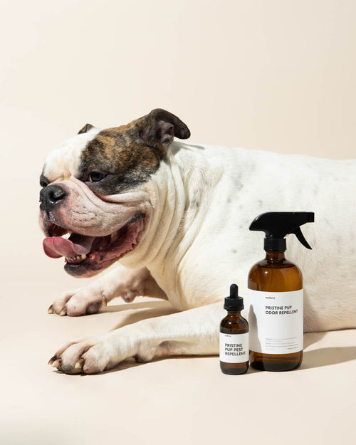 pristine pup diy odor & pest repellent kit - Makesy