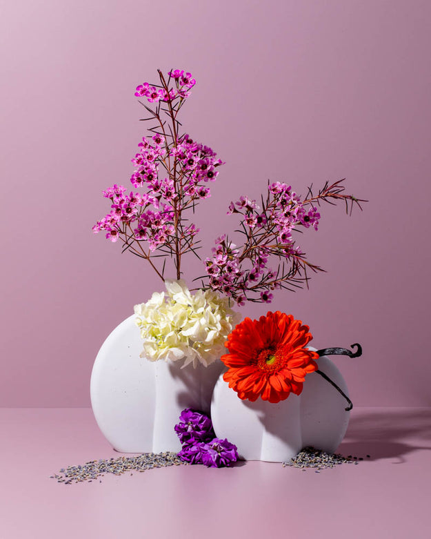 lavender flower powder Makesy Calming Calendula & Lavender Powder Natural Fragrance Oil In Size 8.34 Lbs / 3.79 kg