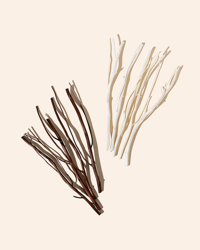 willow diffuser reeds