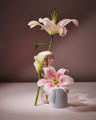 fragrance of lily flower essence of lily fragrance oil